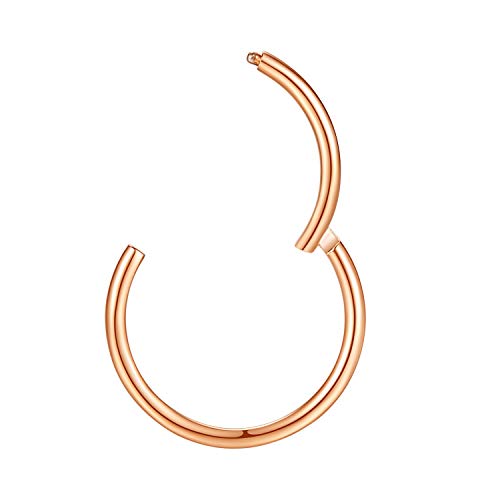 ORANGELOVE Hypoallergenic Nose Rings 20G 18G 16G 14G 12G 10G 8G 316l Surgical Steel Septum Jewelry Hinged Segment Ring Body Piercing Nose Hoop Lip Rings Nose Helix Cartilage Rook Earrings - color: Rose Gold, size: 1pc 16 Gauge 6mm