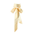 Long Thin Skinny Scarf Satin Neckerchief Ribbon Tie Waist Belt for Women - color: Beige