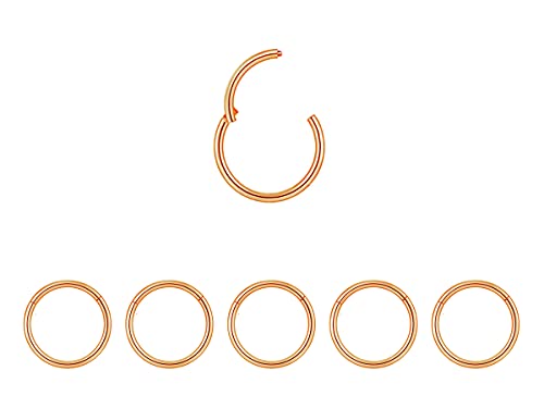 5Pcs 16G 18G Surgical Steel Nose Rings Hoop Tragus Septum Cartilage Hoop Earrings For Women Men Body Piercing Jewelry Kit Bar Length 6mm/8mm/10mm/12mm/14mm - style: 5Pcs -18G - Rose Gold - 10mm