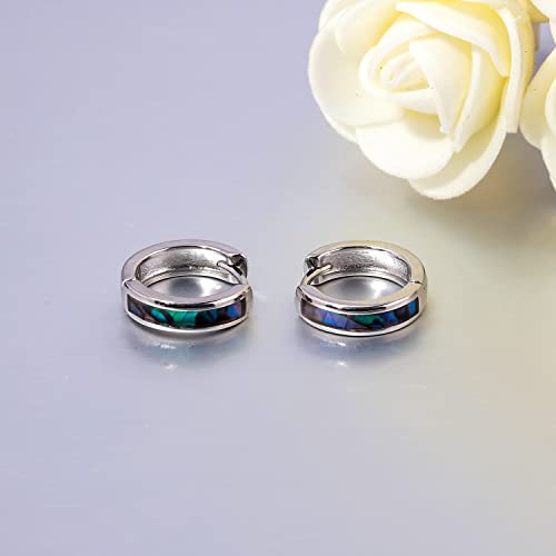 CiNily Huggie Earrings Opal Hinged Hoop Earrings Gold Plated Hypoallergenic Small Hoop Earrings for Women Teen Girls Men Sensitive Ears - color: Abalone shell