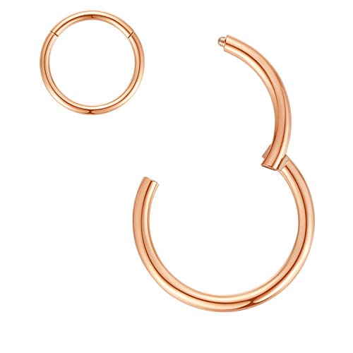 ORANGELOVE Hypoallergenic Nose Rings 20G 18G 16G 14G 12G 10G 8G 316l Surgical Steel Septum Jewelry Hinged Segment Ring Body Piercing Nose Hoop Lip Rings Nose Helix Cartilage Rook Earrings - color: Rose Gold, size: 1pc 14 Gauge 6mm