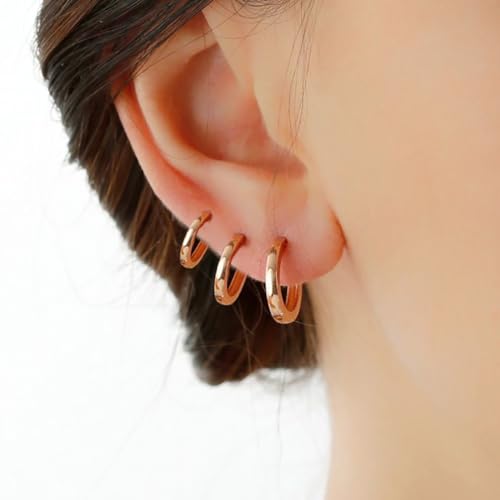 Cocadant 6 Pairs 925 Sterling Silver Small Hoop Earrings for Women,14k Real Gold Hypoallergenic Tiny Cubic Zirconia Cartilage Huggie Earring Sets for Multiple Piercing Trendy Jewelry 8/10/12mm - color: 6 Pairs Rose gold,8mm 10mm 12mm