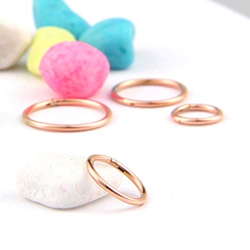 4Pcs 16G 18G 20G Surgical-Steel-Piercing-Ring-Nose-Rings-Hinged-Hoop-Earrings,6mm 8mm 10mm 12mm Seamless Stainless Steel Clicker Eyebrow Septum Piercing Hoop,Sliver Black Gold Rose Gold Rainbow Body Jewelry Set - color: 18G Rose Gold