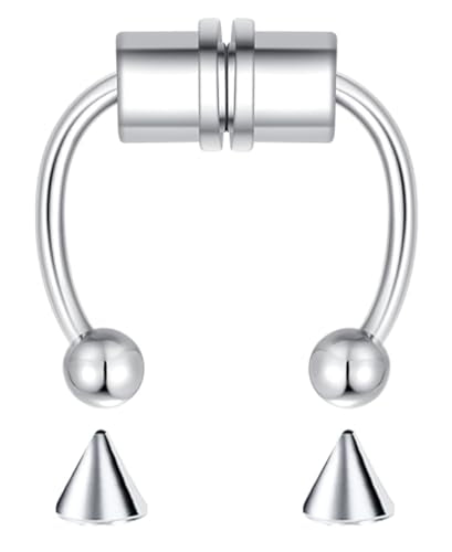 5-18 Pcs Nose Rings Hoops Fake Nose Ring Fake Septum Fake Lip Rings Fake Septum Piercing Fake Nose Piercing Fake Nose Hoop Double Hoop Nose Ring Fake Double Nose Ring Nose Cuffs Faux Nose Rings Clip On Cartilage Hoop Earring - color: C0: 1PCS Silver