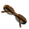 VANLINKER Polarized Retro Oval Sunglasses for Women and Men Small 90s Style VL9580 - color: C4 Tortoise Frame/Brown Tinted Lens