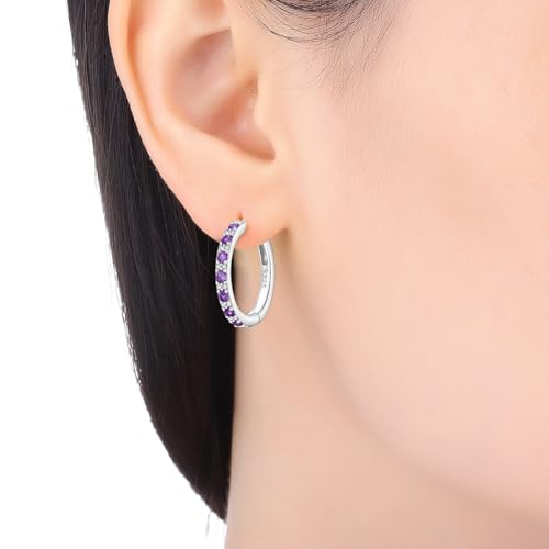Earrings for Women 925 Sterling Silver Hoop Earring Colorful Cute Fashion Hoop Earrings Graduation Birthday Jewelry Gifts for Women - color: Purple Interspersed Stone Earrings