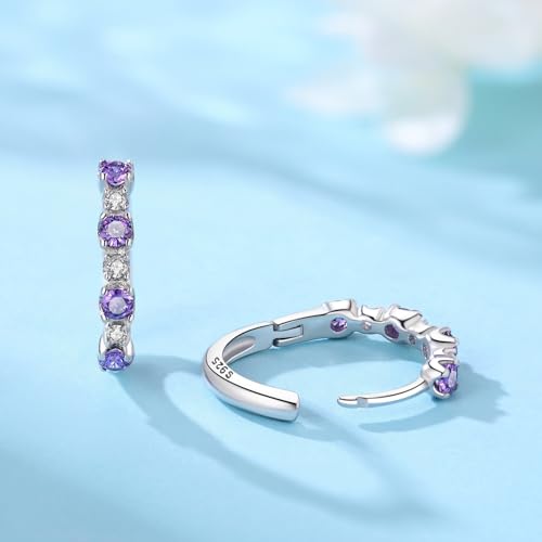 Earrings for Women 925 Sterling Silver Hoop Earring Colorful Cute Fashion Hoop Earrings Graduation Birthday Jewelry Gifts for Women - color: Rhinestone Earrings - Purple