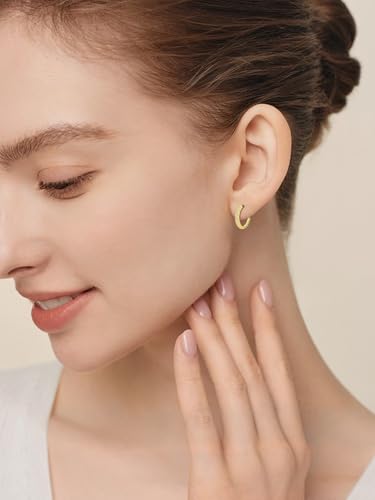 14K Gold Hoop Earrings for Women Hypoallergenic Lightweight Gold Huggie Hoop Earring Jewelry Gift - style: D-25mm