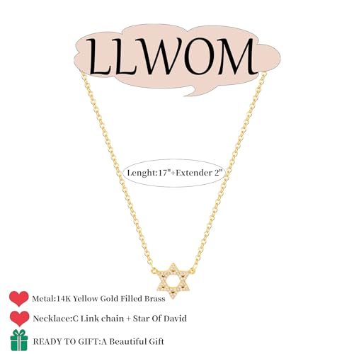 LLWOM Gold Necklace for Women-14k Gold Plated Infinity Necklace Star Of David Necklace Evil Eye Cross Pendants Heart Dainty Gold Necklace For Women - color: Gold, style: CZ Star Of David Silver