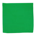 Motique Accessories Solid Color Bandana - color: Kelly Green