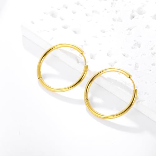 Stainless Steel Hoop Earrings for Women Gold Tone Geometric, Huggie Heart Twisted Minimalist Engraved Designs for Daily Wear - color: Gold-Heart02_25mm*25mm