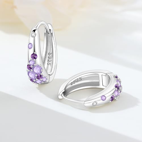 Earrings for Women 925 Sterling Silver Hoop Earring Colorful Cute Fashion Hoop Earrings Graduation Birthday Jewelry Gifts for Women - color: Purple Rhinestone Earrings