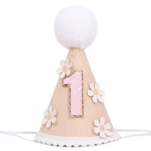 Daisy 1/2 Birthday Cone Hat - Bohemian 6 Months Birthday Decorations,Spring Flower Party Crown Photo Props - color: 1st Brithday