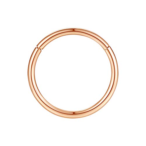 ORANGELOVE Hypoallergenic Nose Rings 20G 18G 16G 14G 12G 10G 8G 316l Surgical Steel Septum Jewelry Hinged Segment Ring Body Piercing Nose Hoop Lip Rings Nose Helix Cartilage Rook Earrings - color: Rose Gold, size: 1pc 16 Gauge 8mm