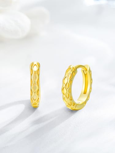 14K Gold Hoop Earrings for Women Hypoallergenic Lightweight Gold Huggie Hoop Earring Jewelry Gift - style: C-15mm