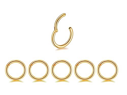 5Pcs 16G 18G Surgical Steel Nose Rings Hoop Tragus Septum Cartilage Hoop Earrings For Women Men Body Piercing Jewelry Kit Bar Length 6mm/8mm/10mm/12mm/14mm - style: 5Pcs -16G - Gold - 10mm