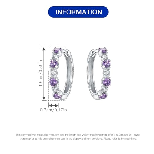 Earrings for Women 925 Sterling Silver Hoop Earring Colorful Cute Fashion Hoop Earrings Graduation Birthday Jewelry Gifts for Women - color: Rhinestone Earrings - Purple