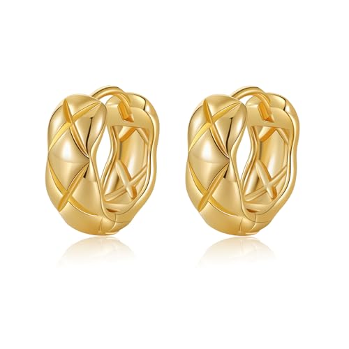 Small Chunky Huggie Hoop Earrings for Women - 18K Gold Plated Boho Ethnic, Hypoallergenic Dainty Vintage Gifts for Women - color: Diamond pattern