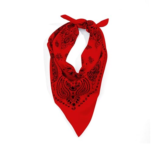 Rothco Trainmen Paisley Bandana - Standard - 22" X 22" - color: Red/Black
