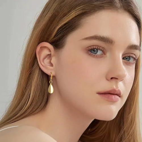 Dangle Earrings For Women, Silver Plated Lightweight Drop Earrings With Sparkling Cubic Zirconia,14K Gold Plated Hypoallergenic Face Shaping Earrings For Wedding Party Daily Office Jewelry Gift - color: Gold-B
