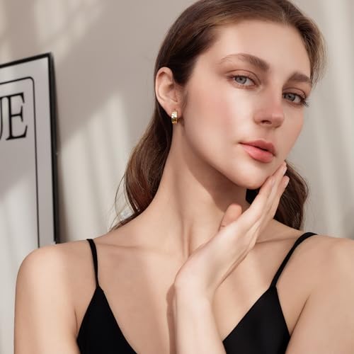 Small Chunky Huggie Hoop Earrings for Women - 18K Gold Plated Boho Ethnic, Hypoallergenic Dainty Vintage Gifts for Women - color: fish scale