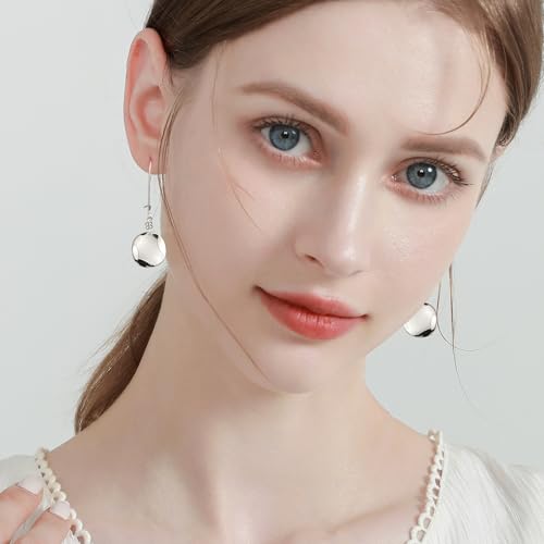 14K Gold Dangle Earrings for Women，Lightweight Circle Disc Coin Geometric Flat Brushed Drop Earrings, Hypoallergenic Leverback Earrings Jewelry - color: C-Silver