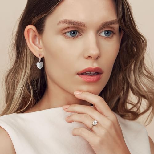 14K Gold Dangle Earrings for Women，Lightweight Circle Disc Coin Geometric Flat Brushed Drop Earrings, Hypoallergenic Leverback Earrings Jewelry - color: D-Silver