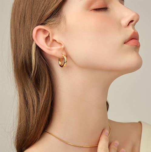 SHIMAO Hammered Gold Earrings for Women, Small Hoop Earrings 14K Gold Plated Thick Hoop Huggie Earrings for Women, Niche Design Metal Texture Chunky Gold Huggie Hoop Earrings