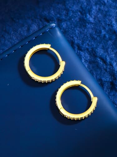 14K Gold Hoop Earrings for Women Hypoallergenic Lightweight Gold Huggie Hoop Earring Jewelry Gift - style: B-20mm