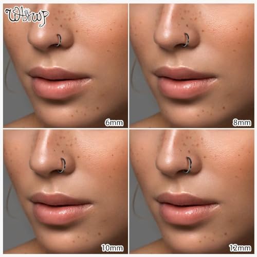 WBRWP 316L Stainless-Steel Piercing-Ring Hinged Nose-Rings-Hoop : 20G 18G 16G 14G Womens Body Pierecing Ring Segment Clicker Lip Rings Helix Cartilage Rook Earrings Diameter 6mm 8mm 10mm 12mm - color: 8pc set in black color(each dia. 2 pc)