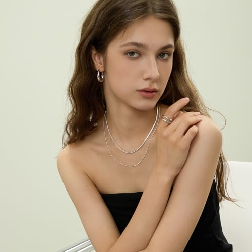 ARSIS 18K Gold Plated Herringbone Necklace Snake Chain Choker Dainty Layered Hypoallergenic Jewelry Gift for Women - color: Silver Double Layer