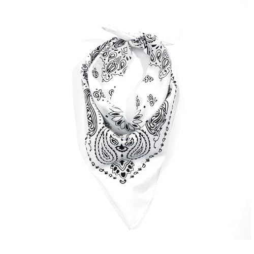 Rothco Trainmen Paisley Bandana - Standard - 22" X 22" - color: White