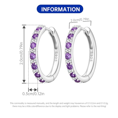 Earrings for Women 925 Sterling Silver Hoop Earring Colorful Cute Fashion Hoop Earrings Graduation Birthday Jewelry Gifts for Women - color: Purple Interspersed Stone Earrings