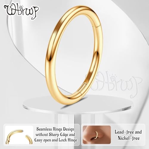 WBRWP 316L Stainless-Steel Piercing-Ring Hinged Nose-Rings-Hoop : 20G 18G 16G 14G Womens Body Pierecing Ring Segment Clicker Lip Rings Helix Cartilage Rook Earrings Diameter 6mm 8mm 10mm 12mm - color: 8pc set in gold color(each dia. 2 pc)