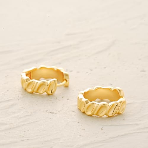 MYEARS Women Earrings Gold Huggie Hoop 14K Small Simple Hypoallergenic Everyday Jewelry - style: Concave Twisted