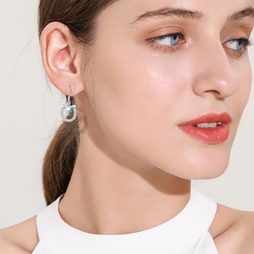 Western Earrings for Women 925 Sterling Silver Turquoise Western Country Dangle Drop Earrings Country Jewelry Gifts for Cowgirl Cowboy - style: Horseshoe-2 Moonstone