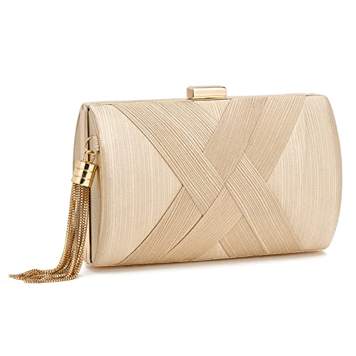 Women Clutch Bag Evening bag Fringed Evening Handbag,Lady Party Wedding Clutch Purse Chain Shoulder Cross Body Bag - color: Champagne