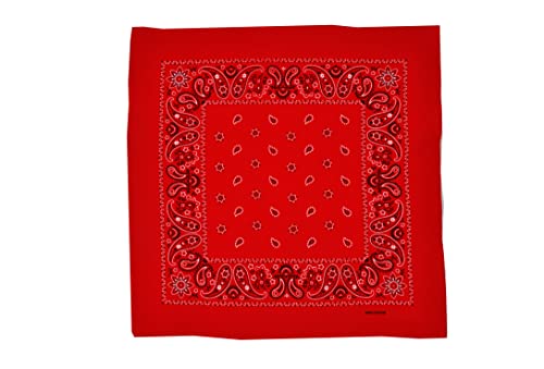 Vamqor 12pcs Bandana for women and men 100% Cotton Custom Fashion Paisley Design Multifunctional Outdoor Square Handkerchief - color: Red