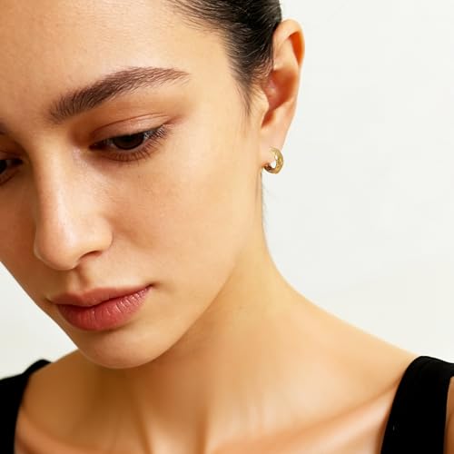 Small Chunky Huggie Hoop Earrings for Women - 18K Gold Plated Boho Ethnic, Hypoallergenic Dainty Vintage Gifts for Women - color: Starburst Pattern