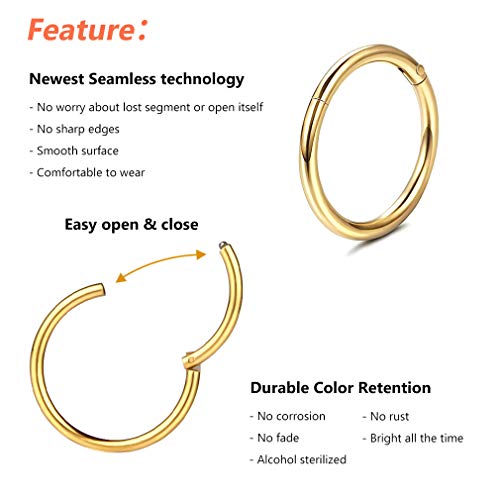 4Pcs 16G 18G 20G Surgical-Steel-Piercing-Ring-Nose-Rings-Hinged-Hoop-Earrings,6mm 8mm 10mm 12mm Seamless Stainless Steel Clicker Eyebrow Septum Piercing Hoop,Sliver Black Gold Rose Gold Rainbow Body Jewelry Set - color: 18G Gold