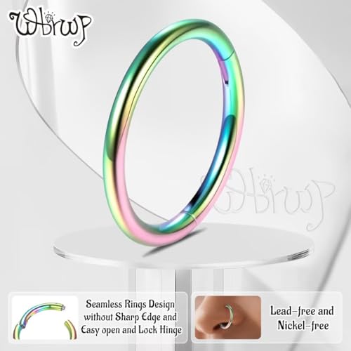 WBRWP 316L Stainless-Steel Piercing-Ring Hinged Nose-Rings-Hoop : 20G 18G 16G 14G Womens Body Pierecing Ring Segment Clicker Lip Rings Helix Cartilage Rook Earrings Diameter 6mm 8mm 10mm 12mm - color: 4pc set in rainbow color(each dia. 1 pc)