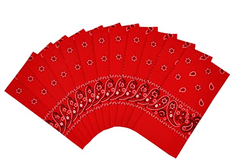 Vamqor 12pcs Bandana for women and men 100% Cotton Custom Fashion Paisley Design Multifunctional Outdoor Square Handkerchief - color: Red