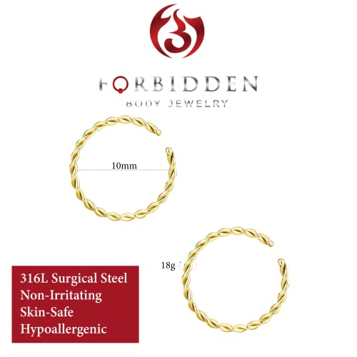 Forbidden Body Jewelry Nose Rings Set Surgical Steel Braided Hoops for Pierced and Fake Nose and Cartilage Piercings 14G-20G - style: 18g 10mm Gold Tone (2Pcs)