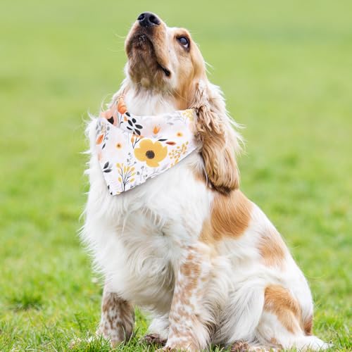 Whaline 4 Pcs Boho Pet Bandanas, Daisy Rainbow Floral Flower | Dog Scarf, Washable, Adjustable Triangle, For Cat Pet Birthday Costume