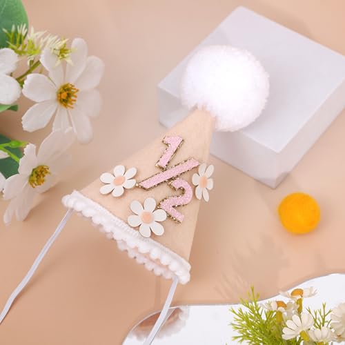 Daisy 1/2 Birthday Cone Hat - Bohemian 6 Months Birthday Decorations,Spring Flower Party Crown Photo Props - color: 1/2 Brithday