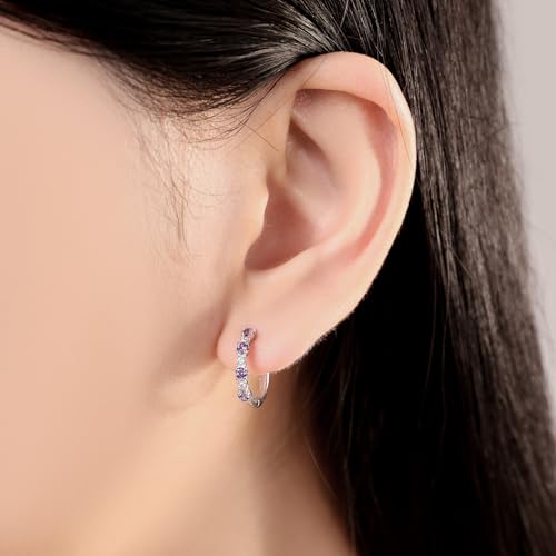 Earrings for Women 925 Sterling Silver Hoop Earring Colorful Cute Fashion Hoop Earrings Graduation Birthday Jewelry Gifts for Women - color: Rhinestone Earrings - Purple