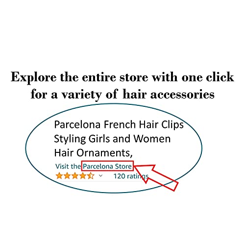Parcelona French Swirls Celluloid Chignon Hair Slide Pin Thru 3.5" Bun Cover Ponytail Round Hair Clips for Women Styling Girls Hair Accessories No Slip Durable, Made in France(Tortoise Shell)
