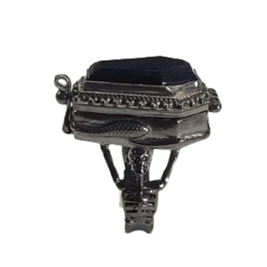 Black Onyx Coffin Poison Ring, Skeleton Coffin Design,Snake Bazel Compartment Poisons Box, Handmade Poisoner Ring, Boho Gift for Her