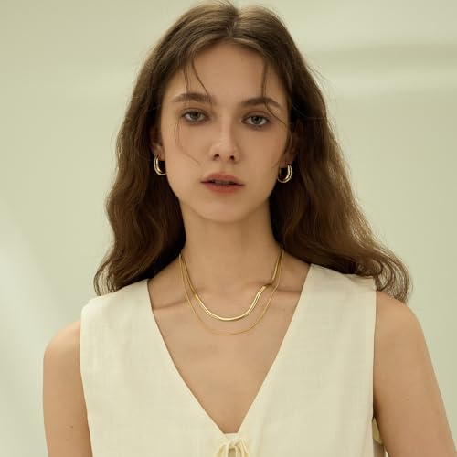ARSIS 18K Gold Plated Herringbone Necklace Snake Chain Choker Dainty Layered Hypoallergenic Jewelry Gift for Women - color: Gold Double Layer