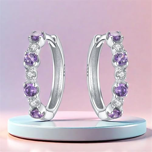 Earrings for Women 925 Sterling Silver Hoop Earring Colorful Cute Fashion Hoop Earrings Graduation Birthday Jewelry Gifts for Women - color: Rhinestone Earrings - Purple